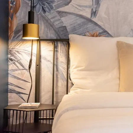 Equipped In The Center Of Appartement